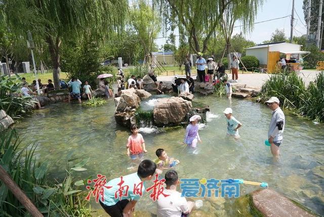 一年四季 泉在济南丨泉声叮咚迎客至 盛夏济南“泉水游”持续火热