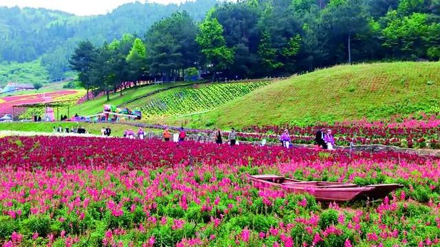 景区联动系列报道（一）｜擘画新篇：景区联动改革引领旅游产业提质升级