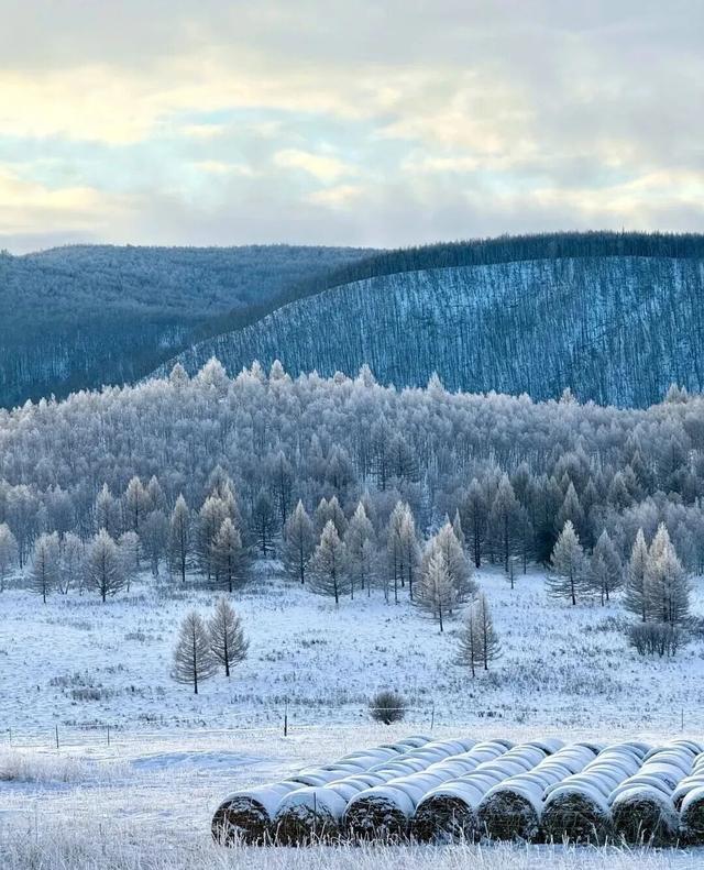 冬天的呼伦贝尔，孩子玩到不想走！