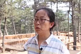 牛河梁遗址研究成果：“礼仪之邦”始于五千年前图片