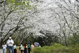 中国气象局：4月北方大风和沙尘风险较大，北方有阶段性低温雨雪冰冻灾害风险图片