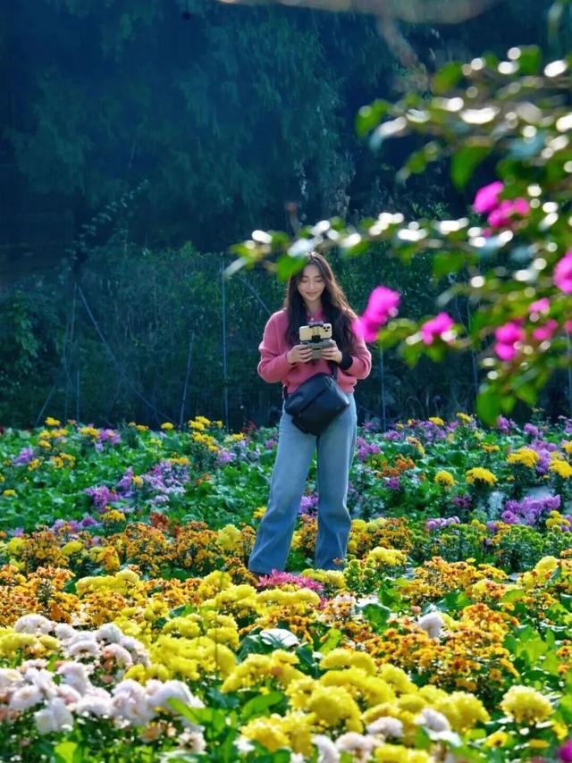 赏花、摘果、逛古镇，玩一天根本不够！