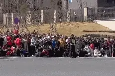 人人人人人……又一地火爆全网！图片