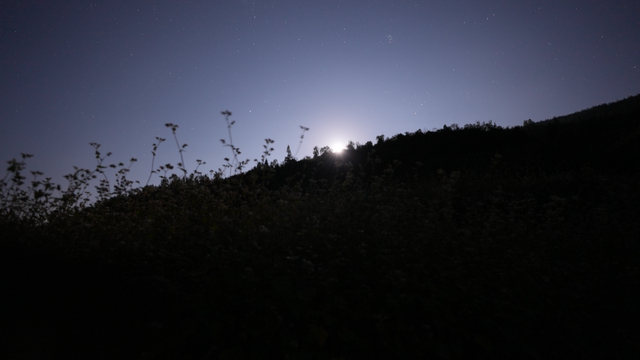 菊金、花雪、风车舞，酉阳秋日浪漫在等你