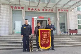 它3岁完成了16次搜救图片