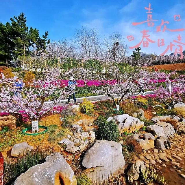 国庆拍照不扎堆！超多影视剧同款，市北这些“机位”别错过