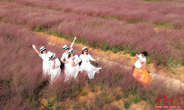 美到词穷！湖南秋叶观赏指南等你收藏