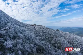 组图 | 宜章莽山：雾凇美景醉游人图片