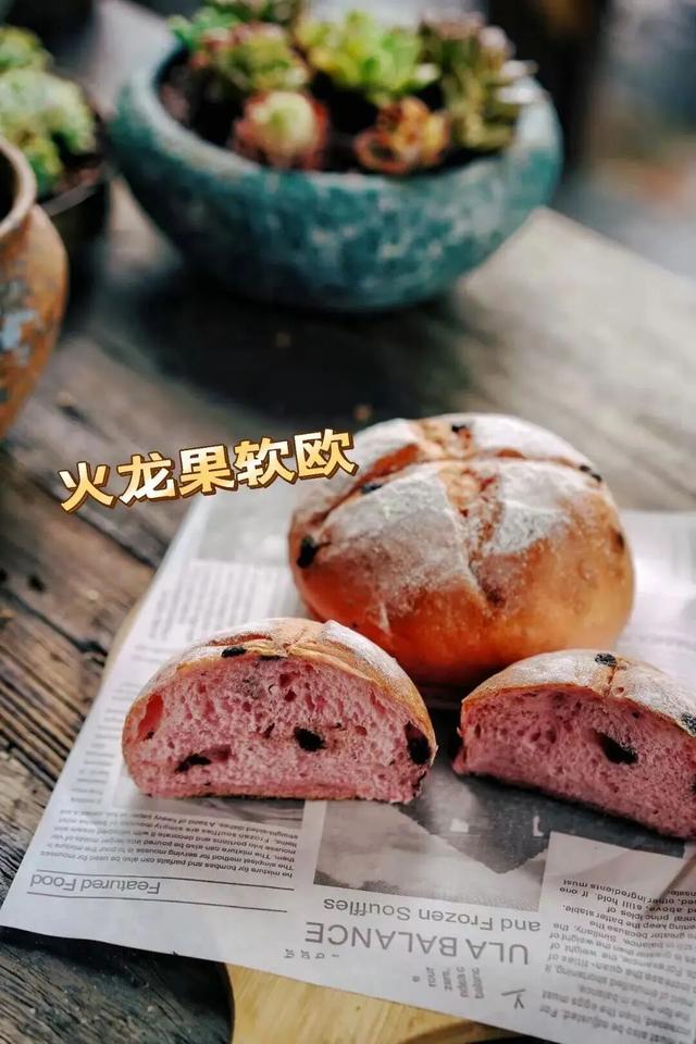 十一玩转衢江！这里宝藏小院承包你的美好时光