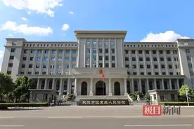 武汉江夏法院：完善市场主体退出和挽救机制，建立涉执中小微企业破产和解机制图片