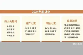 助贷业：变局下的“冰与火之歌”图片