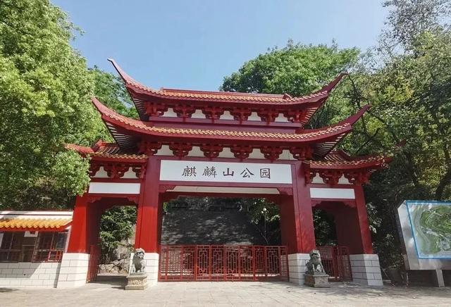 岁岁重阳暖三明！登高赏秋、品茗叙旧，这份适老活动指南请收好