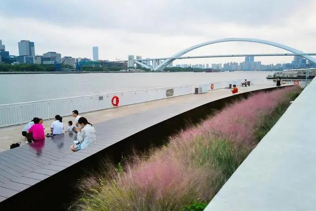 黄浦滨江：限定款“粉色秋景”已美翻，超多人来打卡！