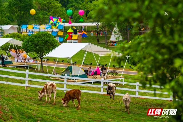 “链”上湖南 “湘”创未来丨湘赣边界崛起“三日游”目的地，花湖谷这样把山水变“流量”