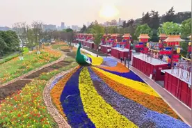 美好生活在云南｜春有约，花不误！来昆明世博园“走花路”图片