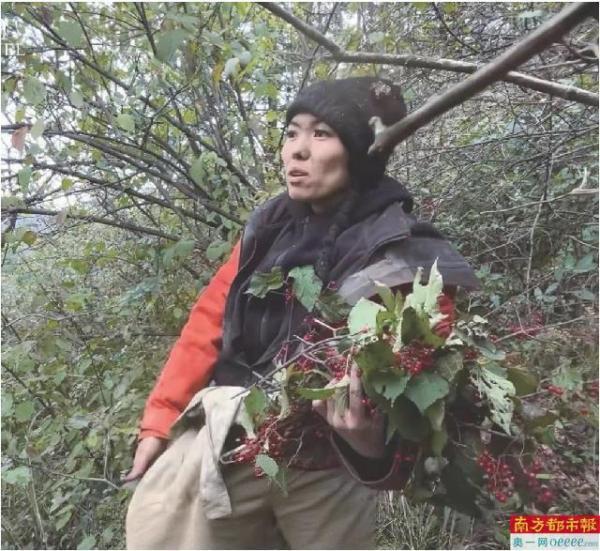 生吃蚂蚱睡山洞 全程直播无剧本“荒野求生”能否成为文旅新赛道