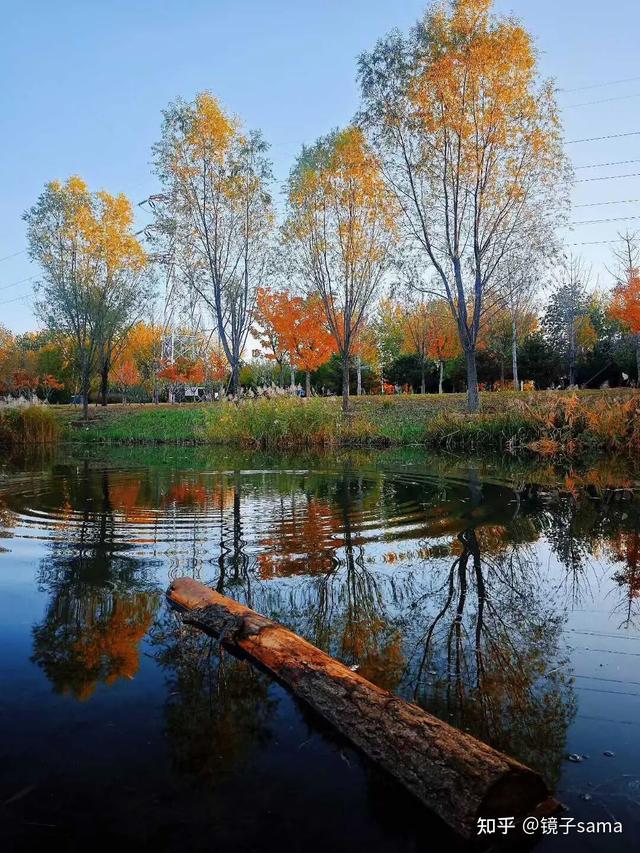 如何描述“北京的秋”？这是一期有温度的推送……