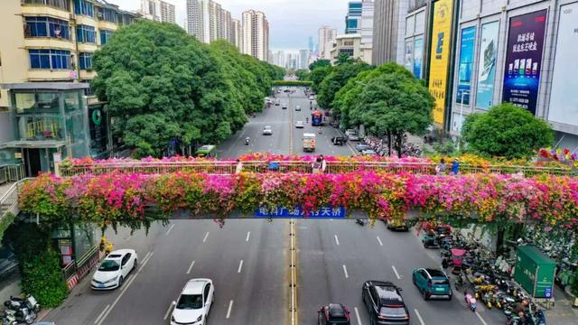 11月的浪漫被TA承包了！南宁“空中花桥”火了，秒变童话世界