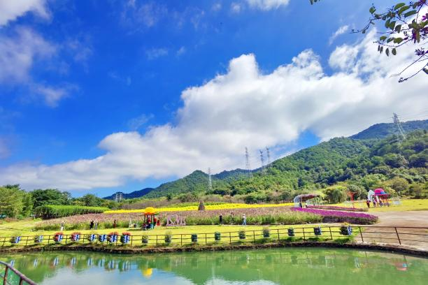 广东新晋网红地！浪漫花海、直升机飞行、地道美食…三水这个地方藏不住了