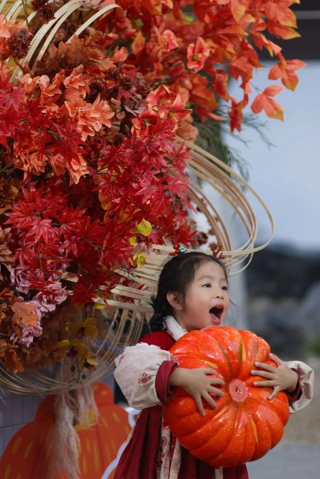 美翻了！南湖，正是红橙黄绿时