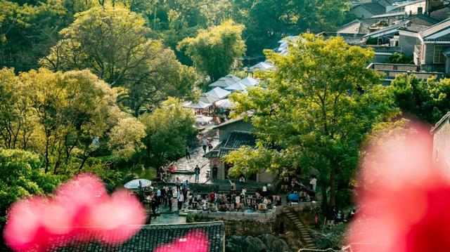 无限暖意！广西发布6条“康养旅居 冬游广西”系列精品线路