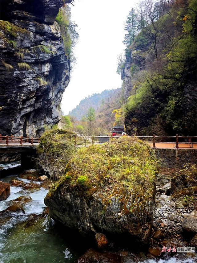 秋染官鹅沟 醉在山水间