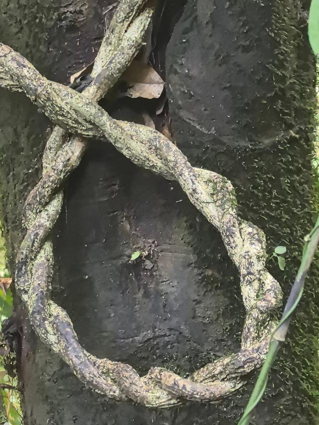 走进峡谷的冬天