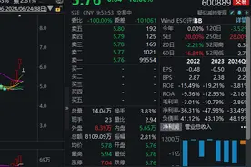南京化纤跌停，公司再度发布风险提示公告图片