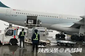 高甜水果飞抵西安 澳大利亚车厘子首次在陕西批量入境图片
