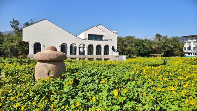 晚潮｜松柳洲畔文化集市