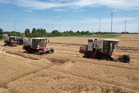 2万亩小麦全面收割  走进江苏省复兴圩农场看夏收图片