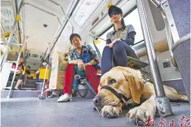 导盲犬，请上车图片