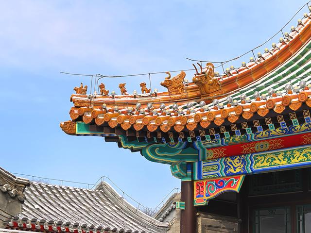 雪后的大运河森林公园，活力满满