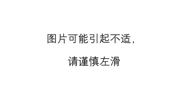 鱼界第一Coser：它从哪置办来“春丽”的白色双马尾？知道真相的你可能会......