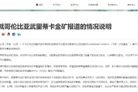 紫金矿业“黄金大劫案”背后：曾遭爆炸恐怖袭击，前三季度赚243亿元图片