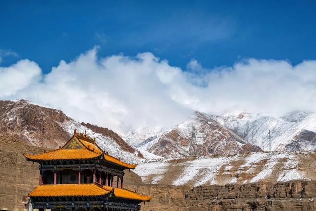 中国最伟大的荒野，从盗猎战场到生命乐园