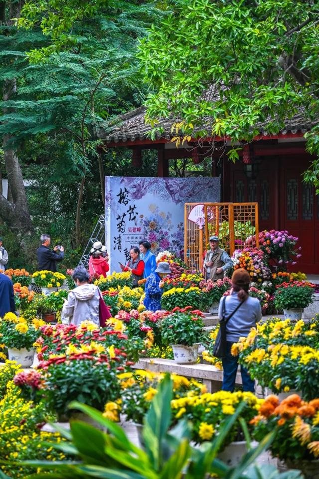 除了看菊花展，福州西湖公园还能怎么逛？