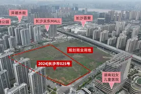 不止宜居！揭秘洋湖新城的“四大气质”图片