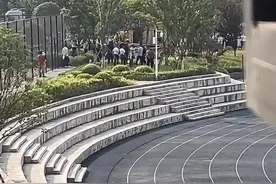 重庆“大学生坠亡化粪池”井口有重大安全问题！一副校长免职图片