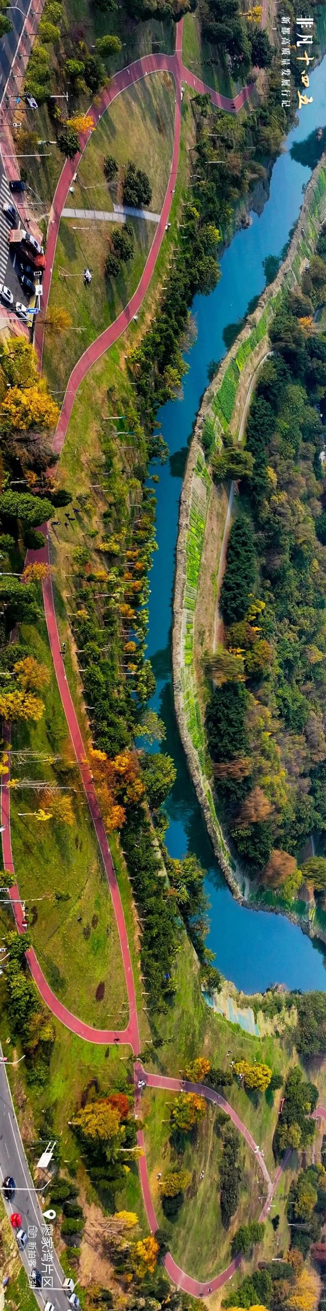 飞“阅”新都 | 一座生长在公园里的城市