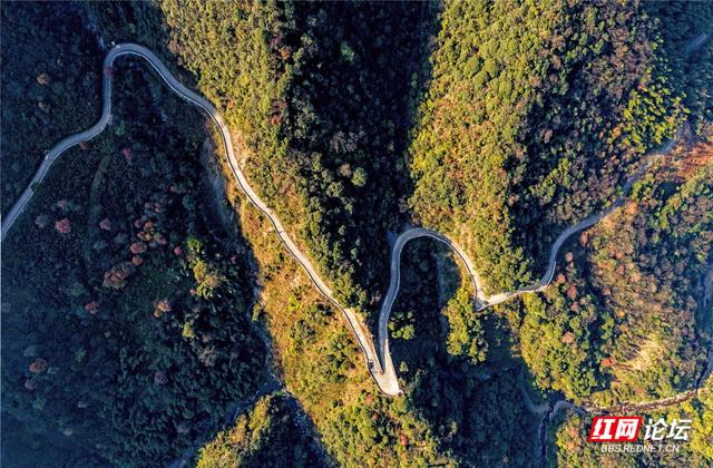 从“十八拐”到齐眉界，一条森林公园里的红色风景线