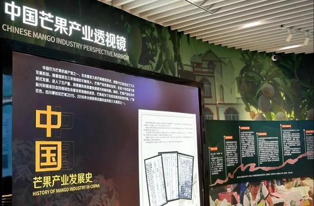 百色田东，“中国芒果之乡”不止芒果！