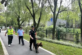 杭州这个街道，“汪汪队”出巡保卫绿色家园图片