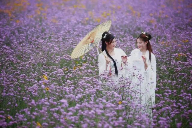 刚开学就想放假？打工人想“去班味”？快来柳江纳凉出片赏美景、吃喝玩乐悦身心