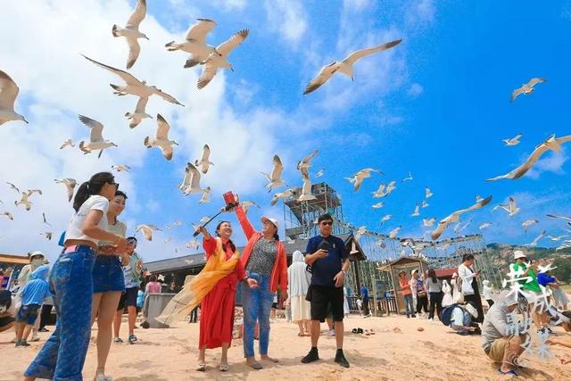 全国生态日，一起看荣成“盛世美颜”！