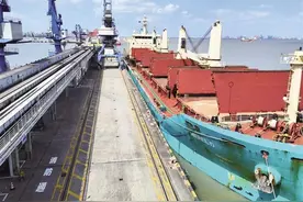 兰州新区商投集团3万吨进口高粱抵达上海港图片