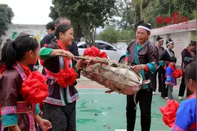 柳州这两所小学，奖励90头猪仔图片