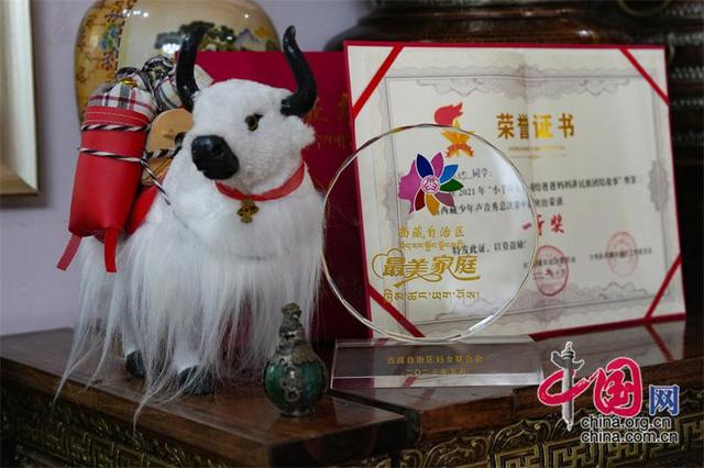 西藏嘎拉村：从穷山沟到“桃花源”的华丽转身