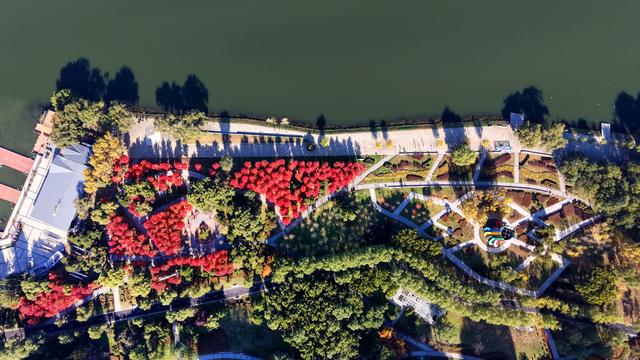 辽宁沈阳：秋意正浓 景色如画