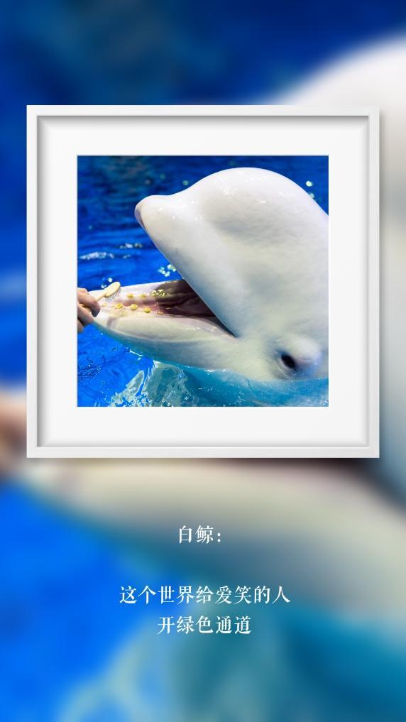 世界微笑日丨那些“天生爱笑”的萌物们